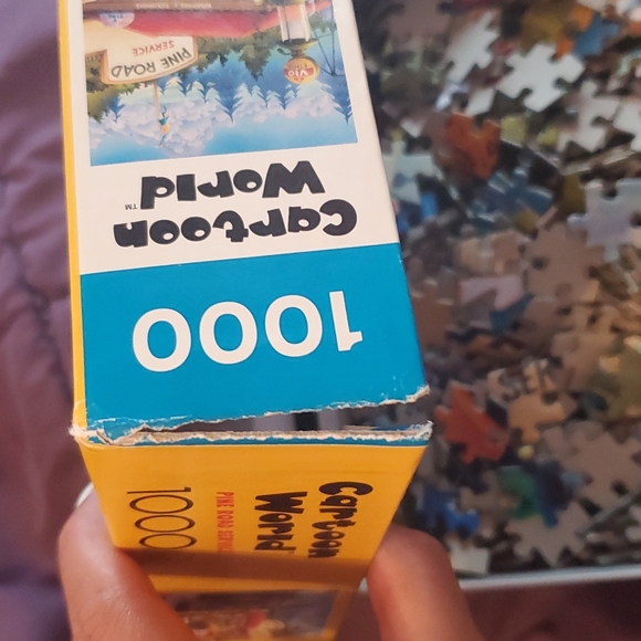 Buffalo New York Puzzle - Picture 4 of 4